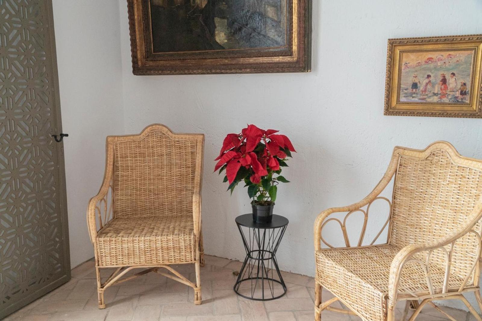 Corazon 23 Apartment Кордоба Екстериор снимка